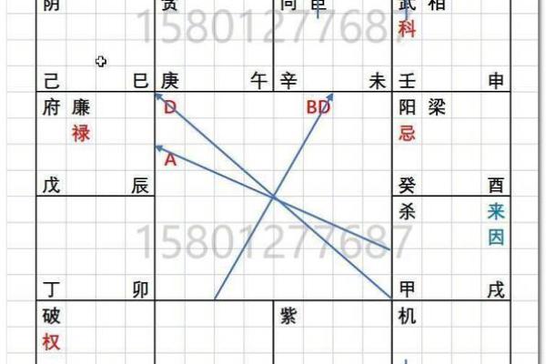 2025年4月17日寅时男命紫微斗数全解盘