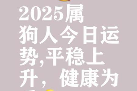 属狗2025年的财运_2025年属狗财运大揭秘财富运势如何提升