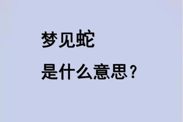 梦见满屋子都是蛇