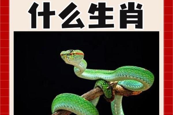 “堂堂正正”打一准确生肖,堂堂正正指什么生肖答案解释释义落实 “堂堂正正”打一准确生肖,堂堂正正指什么生肖答案解释释义落实