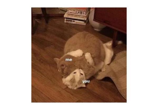 金牛男与射手女谁更离不开谁