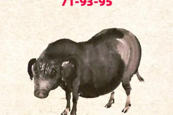 属猪2025年运势及运程_2025年属猪运势详解全年运程大揭秘