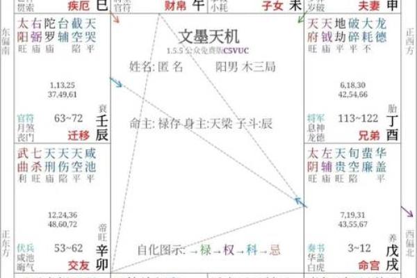 2025年4月29日丑时男命紫微斗数全解盘