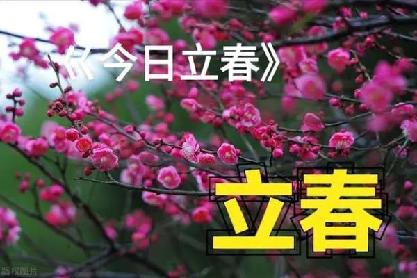2020什么时候立春几点几分