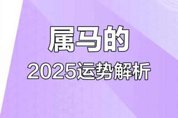 1978年属马人2025年运势详解全年运程大揭秘