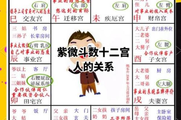 2025年4月17日未时女命紫微斗数全解盘