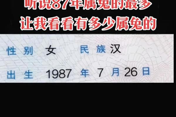 1999年属兔最佳结婚年龄 1999年属兔最佳结婚年龄