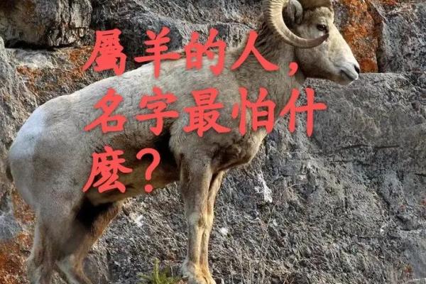 上午出生的属羊男孩应该起什么名,用什么字姓名 上午出生的属羊男孩应该起什么名,用什么字姓名