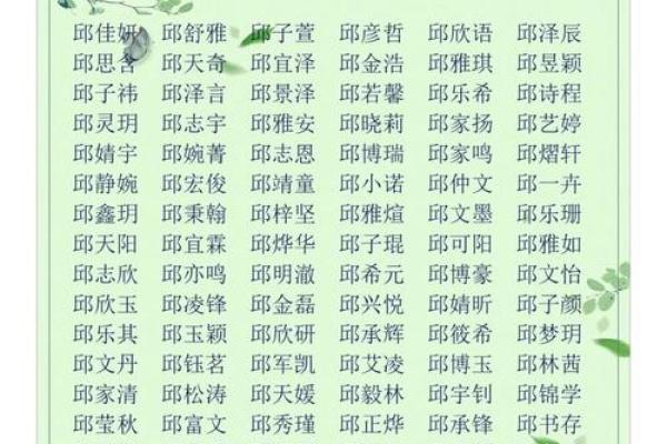 2019年4月29号卯时出生的男孩如何起名姓名