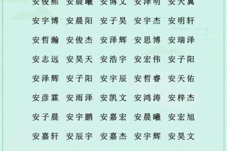 属猪辰时出生的男孩如何取名字，宜用什么字姓名