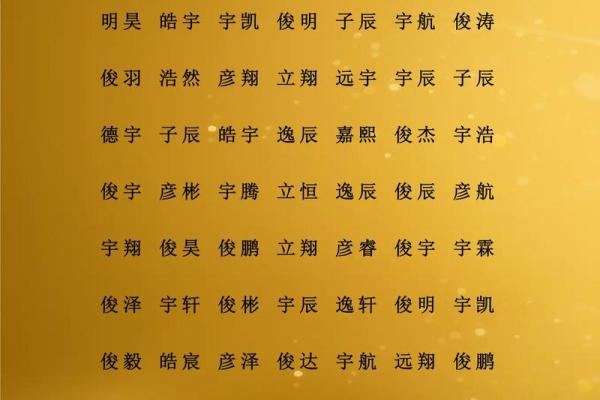 杨姓男孩名字大全-杨姓男孩起名字大全-杨姓名字大全姓名