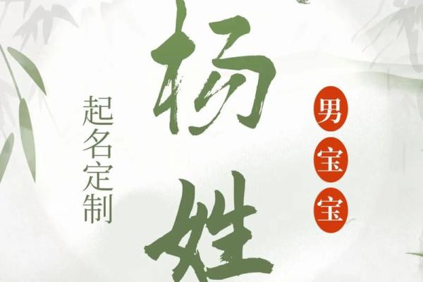 杨姓男孩名字大全-杨姓男孩起名字大全-杨姓名字大全姓名