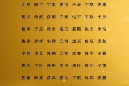 杨姓男孩名字大全-杨姓男孩起名字大全-杨姓名字大全姓名