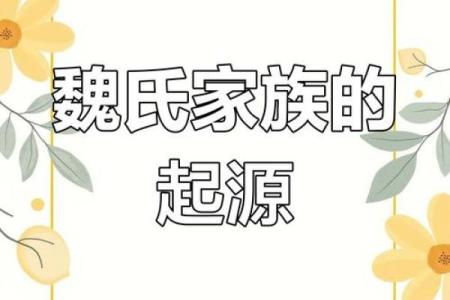 姓魏的名人-名人大全-姓名学-华易算命网姓名