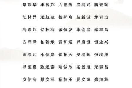 网络公司名字大全-名字大全姓名