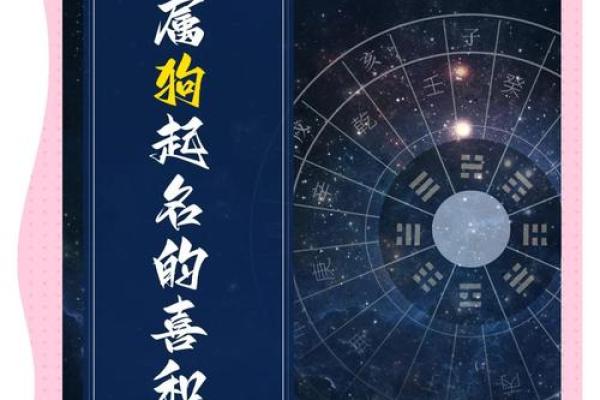 下午四点出生的属狗男孩怎么取名,用什么字好姓名 下午四点出生的属狗男孩怎么取名,用什么字好姓名