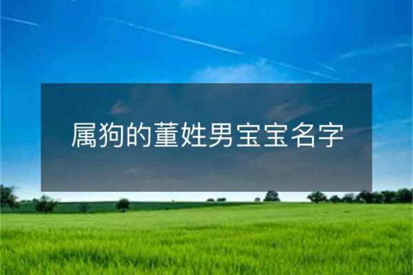 下午四点出生的属狗男孩怎么取名,用什么字好姓名 下午四点出生的属狗男孩怎么取名,用什么字好姓名