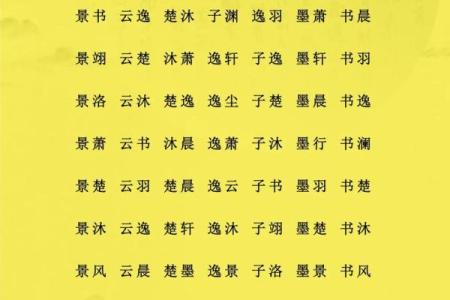 怎样给蛇辛时出生的男孩应该起名，宜用什么字姓名