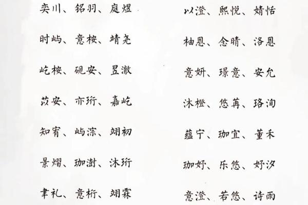 2019年3月25号巳时出生的男孩起名方法姓名