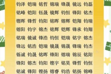 属猴酉时出生的男孩怎么起名，适合什么字姓名