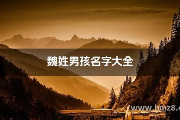 魏姓男孩名字大全-魏姓男孩起名字大全-魏姓名字大全姓名 魏姓男孩名字大全-魏姓男孩起名字大全-魏姓名字大全姓名