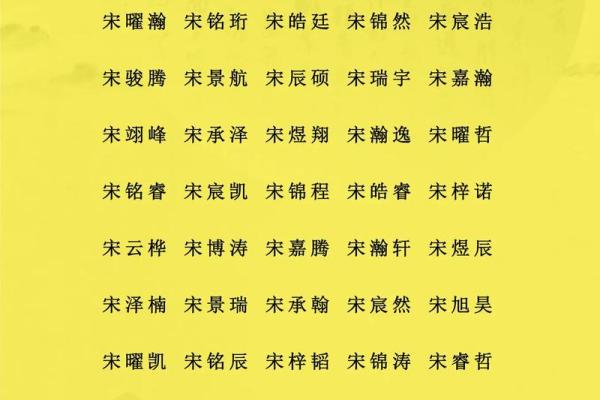 2019年3月23号酉时出生的男孩如何起名姓名