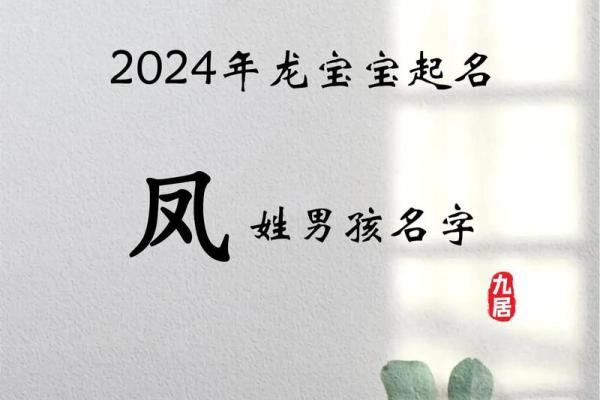 什么字适合给傍晚出生的属鸡男孩取名字姓名 什么字适合给傍晚出生的属鸡男孩取名字姓名