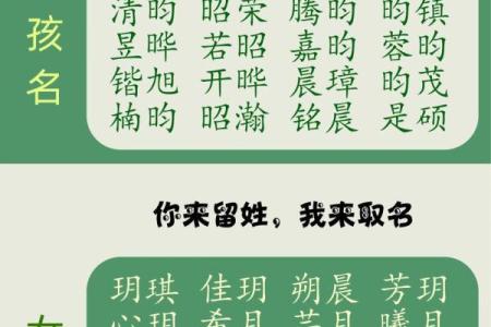 2019年3月27号辛时出生的男孩应该起什么样的名字姓名