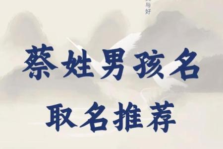 2019年3月23号酉时出生的男孩如何起名姓名