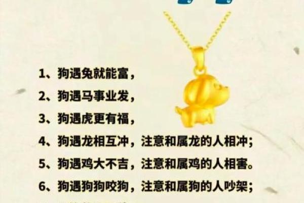 六月份出生的属狗男孩取什么名字好?姓名 六月份出生的属狗男孩取什么名字好?姓名