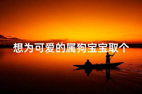 半夜出生的属狗男孩怎么取名，宜用什么字姓名