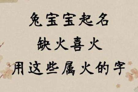 8月份出生的属兔男孩要怎样取名姓名