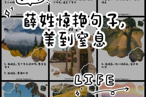 薛姓女孩名字大全-薛姓女孩起名字大全-薛姓名字大全姓名