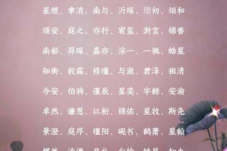 属龙亥时出生的男孩起什么名，应该用什么字姓名