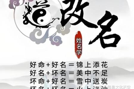晚上10点出生的属虎适合男孩起什么名，用什么字姓名