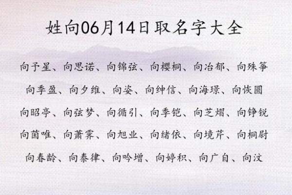 2019年6月19号子时出生的男孩如何起名姓名