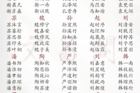 下午一点出生的属猴男孩如何取名，宜用什么字姓名