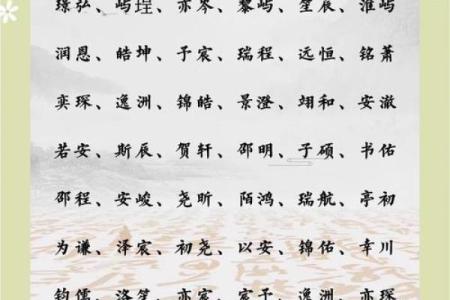 2019年3月14号丑时出生的男孩应该起什么样的名字姓名