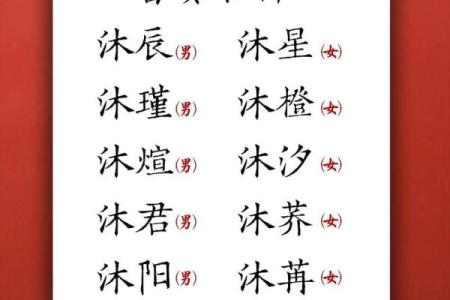5月份出生的属龙男孩适合起什么名字姓名