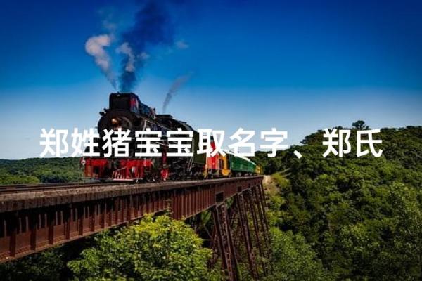 猪宝宝女孩起名大全推荐姓名 猪宝宝女孩起名大全推荐姓名