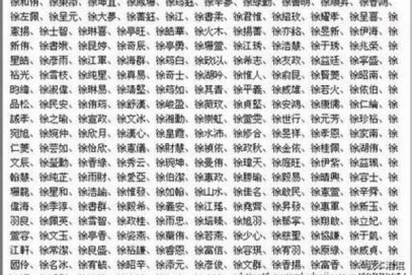 2019年出生的姓徐男孩如何起名，宜用什么字姓名