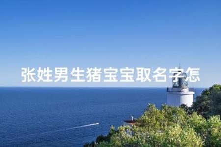 猪宝宝女孩起名大全推荐姓名