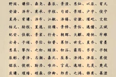 2019年5月27号卯时出生的男孩应该起什么样的名字姓名