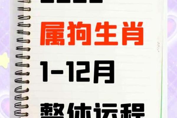下午五点出生的属狗男孩取什么名，适合什么字姓名
