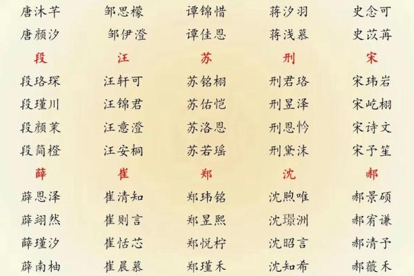 属猴丑时出生的男孩怎样取名字，宜用哪些字姓名