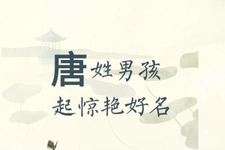 2019年5月25号子时出生的男孩要怎么起名字姓名