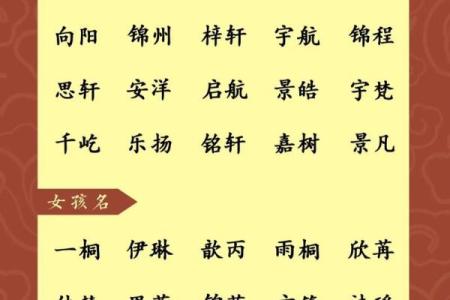 凌晨5点出生的属蛇男孩怎样起名，宜用什么字姓名