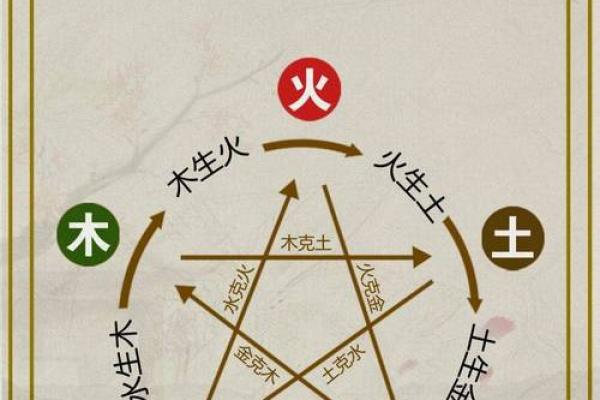 五格的五行属性-姓名学-姓名分析姓名