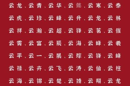 2019年4月12号子时出生的男孩如何起名姓名