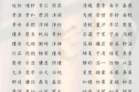 2019年4月8号丑时出生的男孩应该起什么样的名字姓名